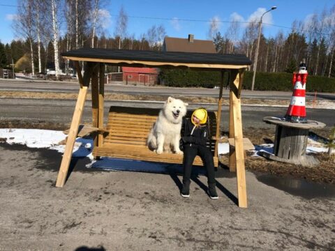 Katariina keinu 1-puoleinen - Image 3